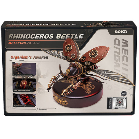 Rhinoceros Beetle