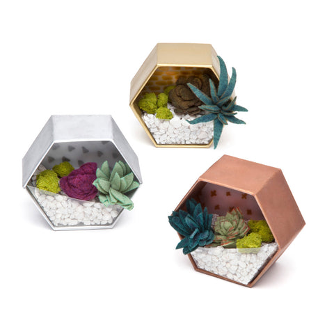 Craft Crush Mini Terrariums