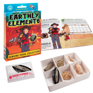 Earthly Elements - Fossil Collection